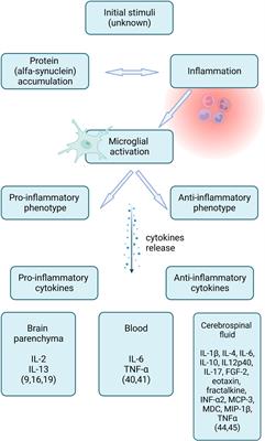 Inflammation in multiple system atrophy